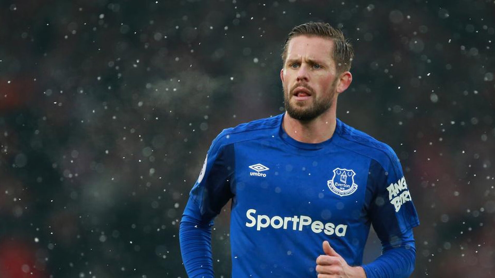 《FIFA》新版本上线,加入多项创新玩法,玩家反馈热烈,fifa新规